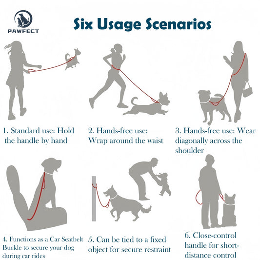 6-in-1 Multi-Functional Dog Leash for Running & Car Safety
