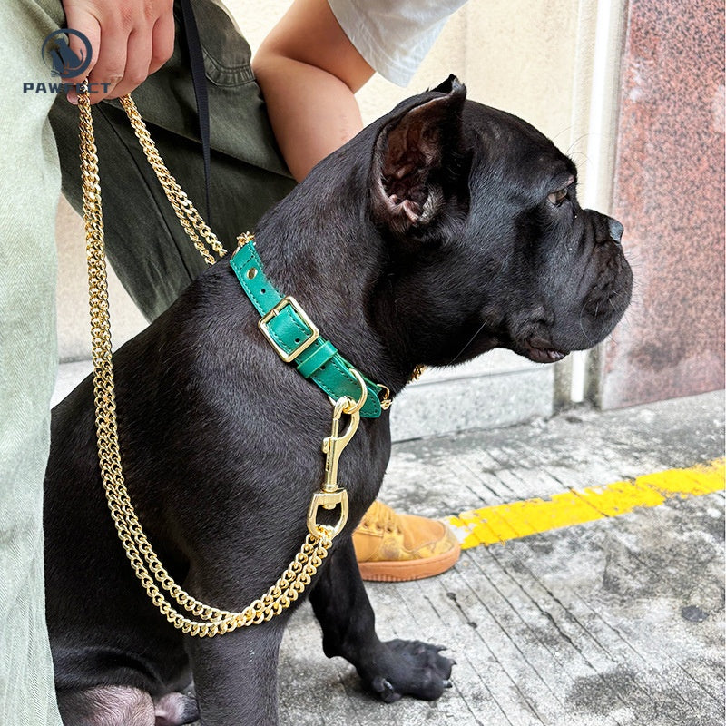 Golden Stainless Steel No-Pull Pet Collar & Leash Set