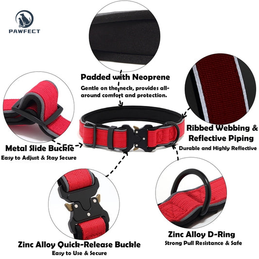 Durable Adjustable Dog Collar with Reflective Piping