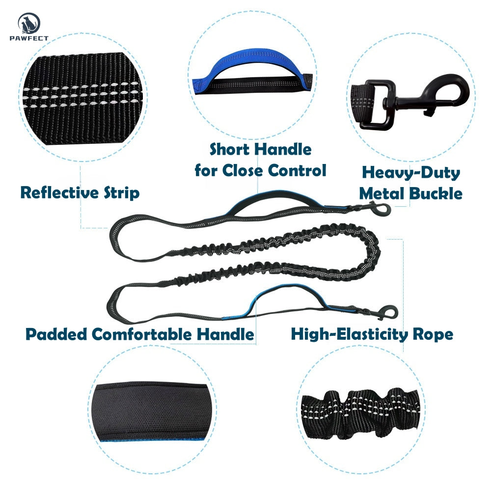 Hands-Free Dog Leash with Waist Pack – Multifunctional Running & Walking Belt