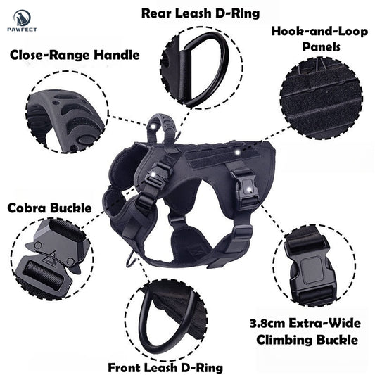 Durable Outdoor Training Harness for Dogs
