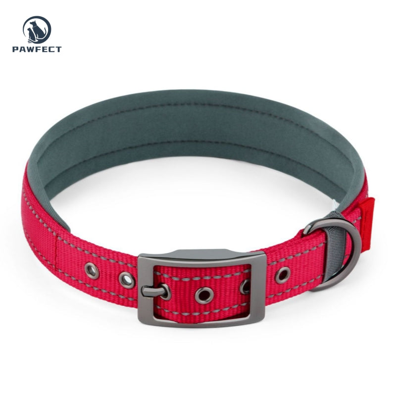 Comfort Neoprene Reflective Pet Collar