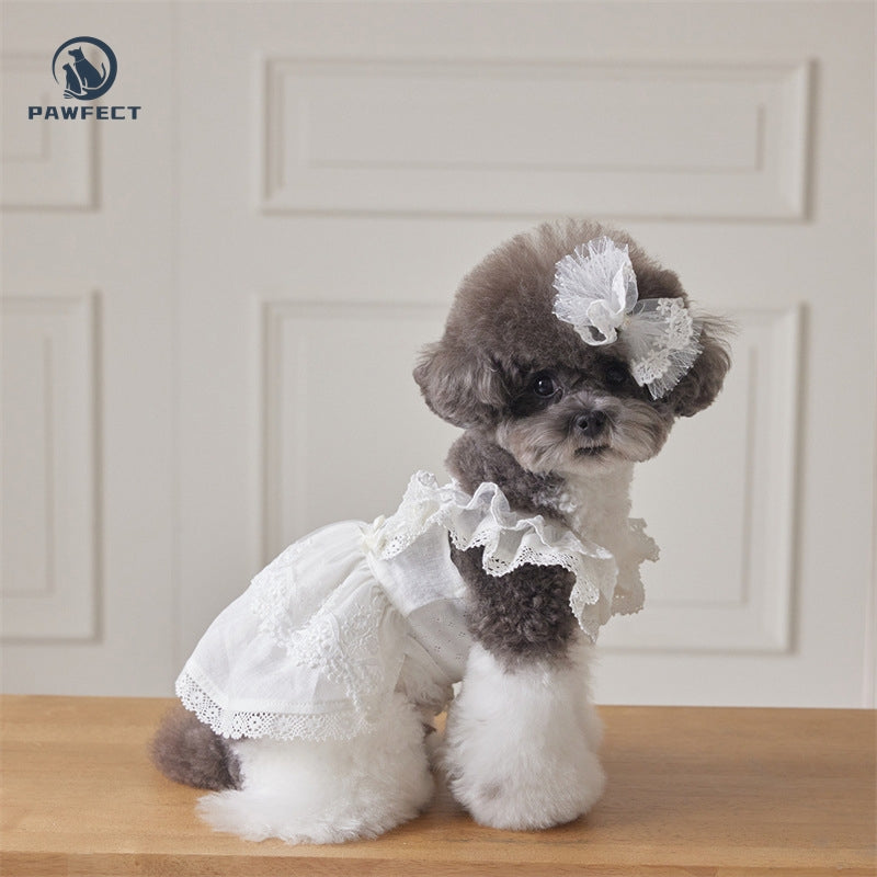 Lightweight Lace Dog Dress in Sweet Style