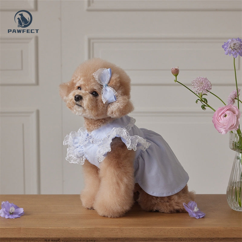 Lightweight Lace Flutter-Sleeve Dog Dress – Elegant Lady Style