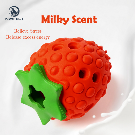 Interactive Strawberry Treat Dispensing Chew Toy