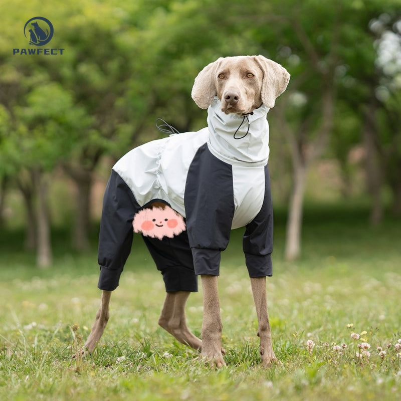 Waterproof Dog Raincoat with 4-Leg Coverage and Leash Hole