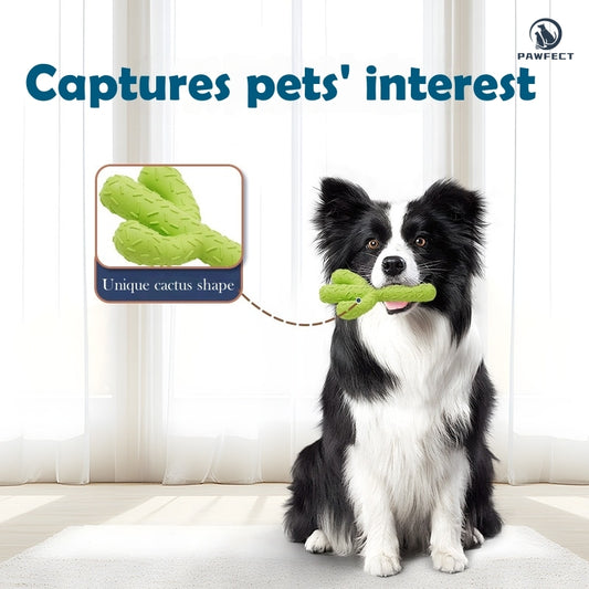 Realistic Cactus Dog Chew and Teeth Cleaning Toy