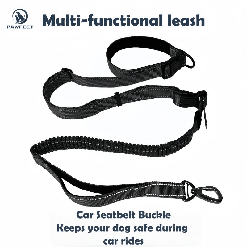 6-in-1 Multi-Functional Dog Leash for Running & Car Safety