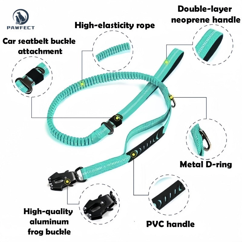 Reflective Pet Leash with Car Seatbelt Buckle & Frog Clip