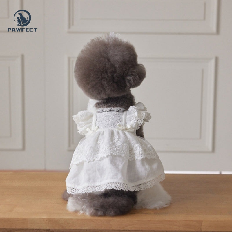 Lightweight Lace Dog Dress in Sweet Style