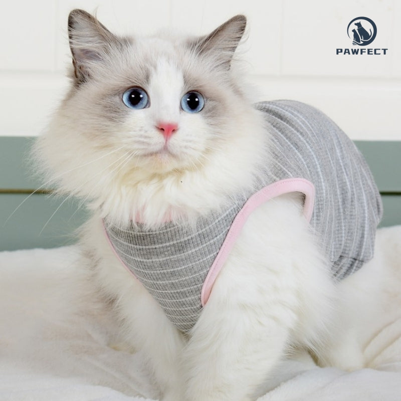 Lightweight Striped Tee for Cats