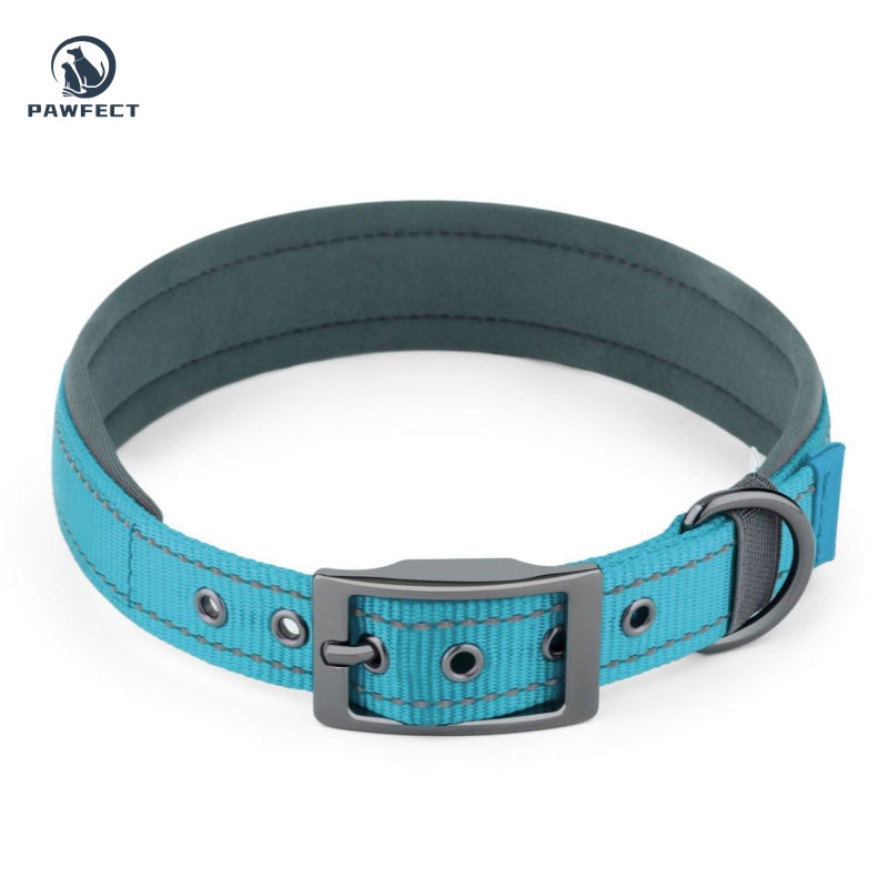 Comfort Neoprene Reflective Pet Collar