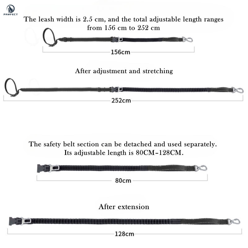 6-in-1 Multi-Functional Dog Leash for Running & Car Safety