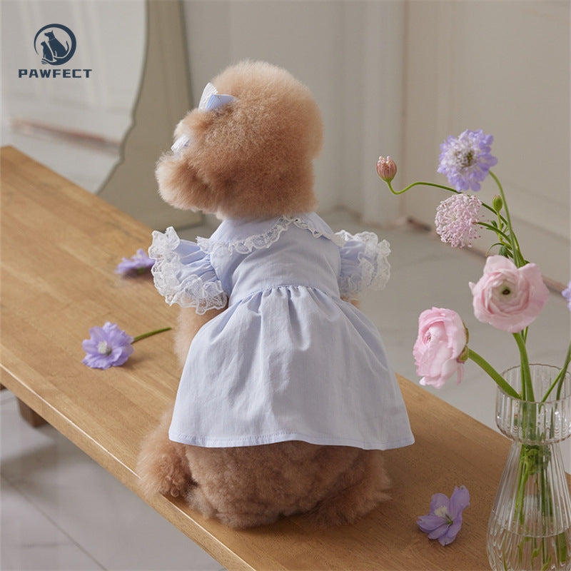 Lightweight Lace Flutter-Sleeve Dog Dress – Elegant Lady Style