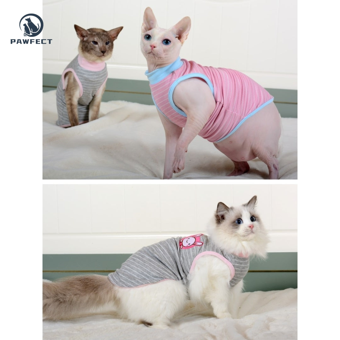 Lightweight Striped Tee for Cats