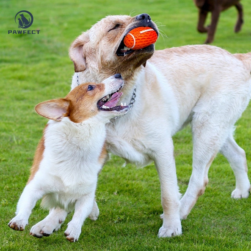 Squeaky Rugby Ball Chew Toy for Dogs