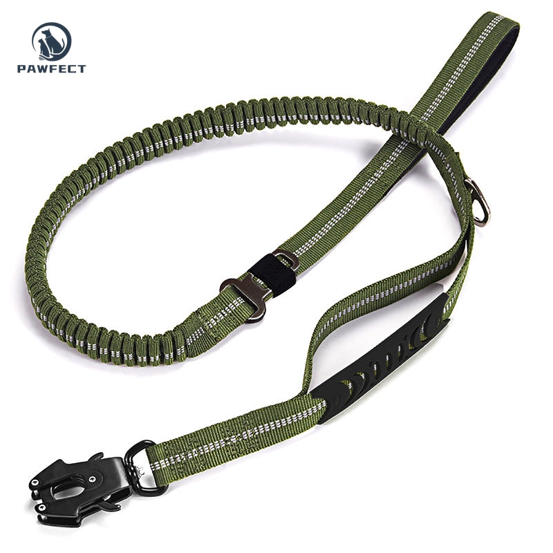 Reflective Pet Leash with Car Seatbelt Buckle & Frog Clip