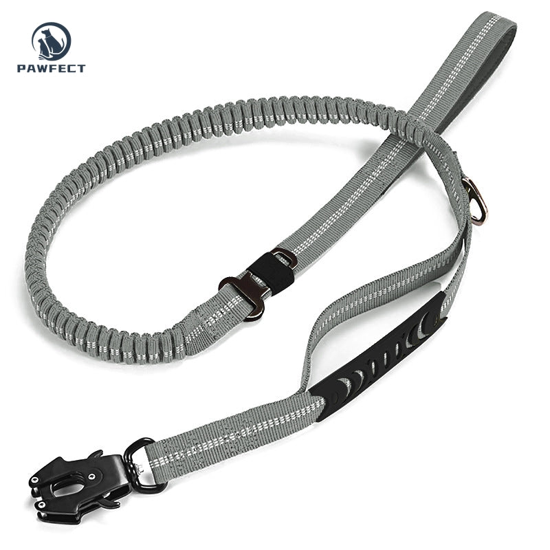 Reflective Pet Leash with Car Seatbelt Buckle & Frog Clip