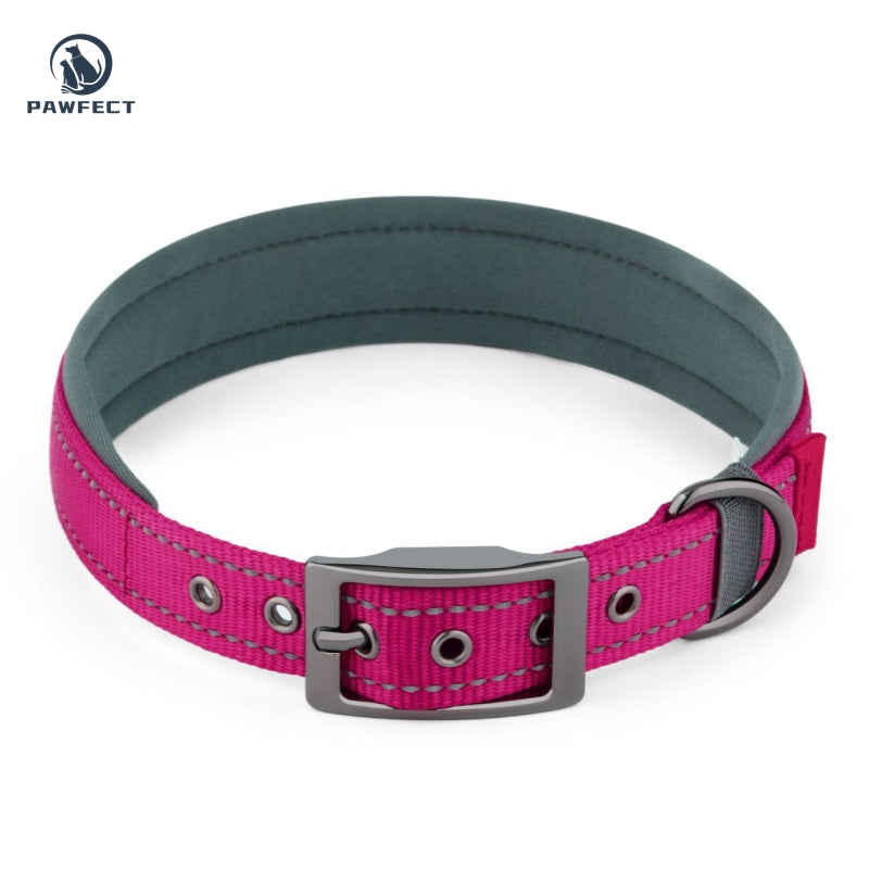 Comfort Neoprene Reflective Pet Collar