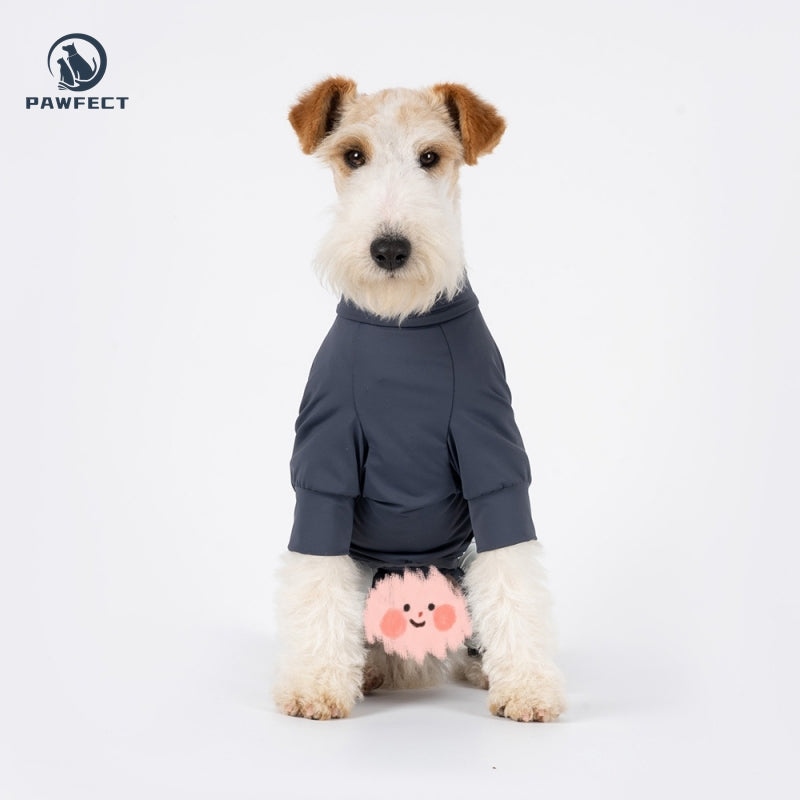 Cooling Quick-Dry UV-Protection Dog Jumpsuit – Breathable 4-Leg Design