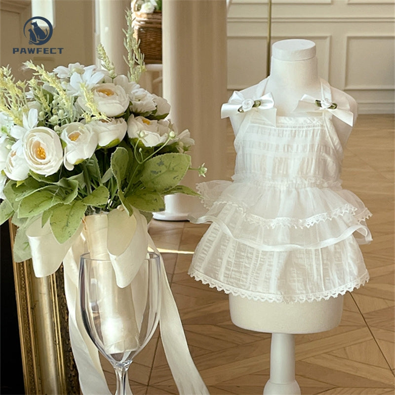 Lightweight Lace Dog Dress in Sweet Style