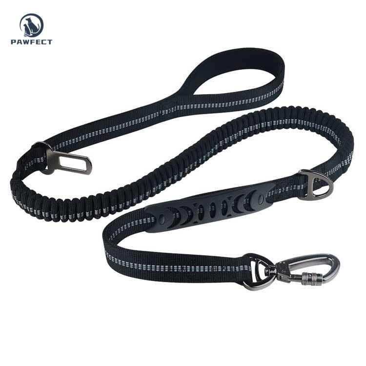 Reflective Elastic Dog Leash with Car Seatbelt Buckle