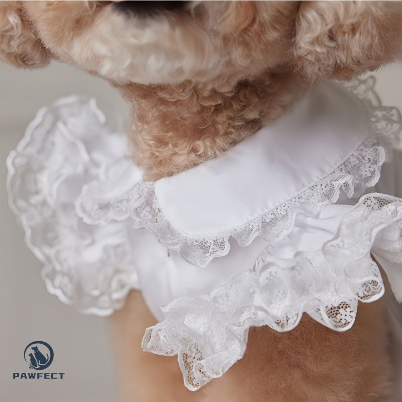 Lightweight Lace Flutter-Sleeve Dog Dress – Elegant Lady Style