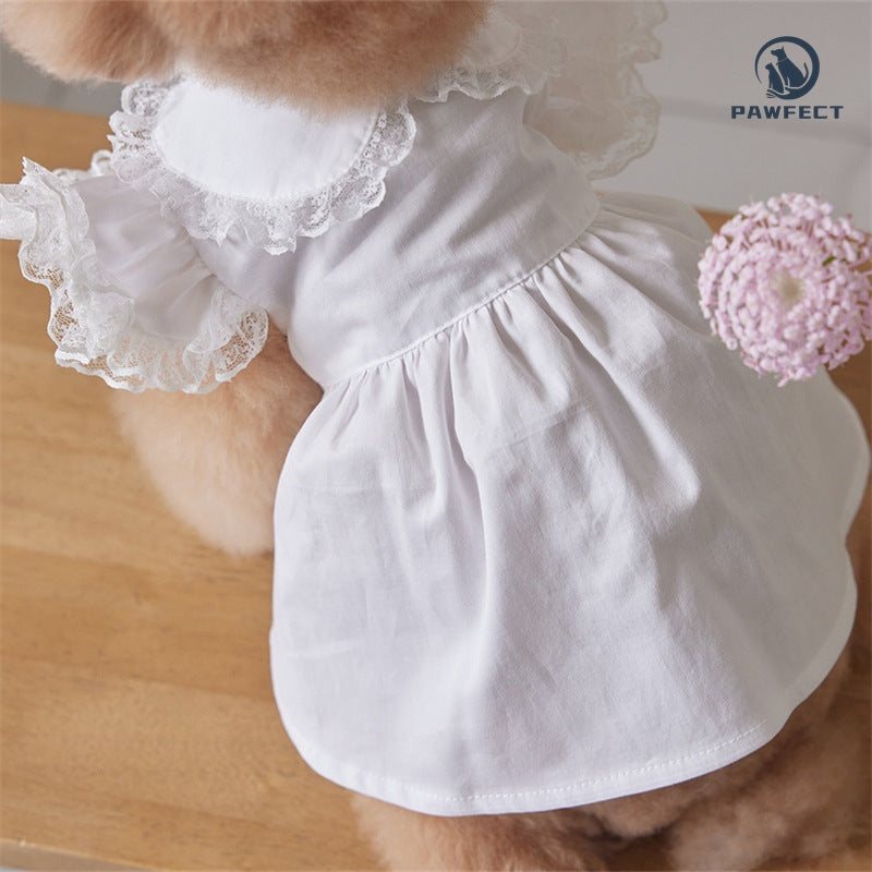 Lightweight Lace Flutter-Sleeve Dog Dress – Elegant Lady Style