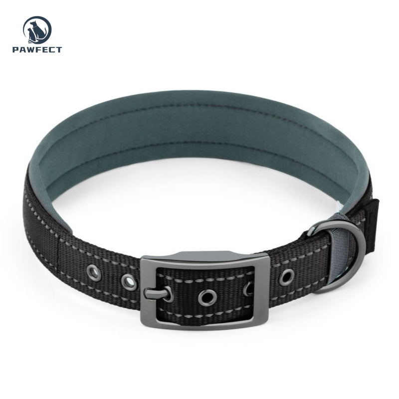 Comfort Neoprene Reflective Pet Collar