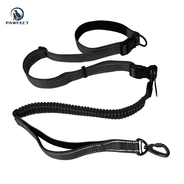 6-in-1 Multi-Functional Dog Leash for Running & Car Safety