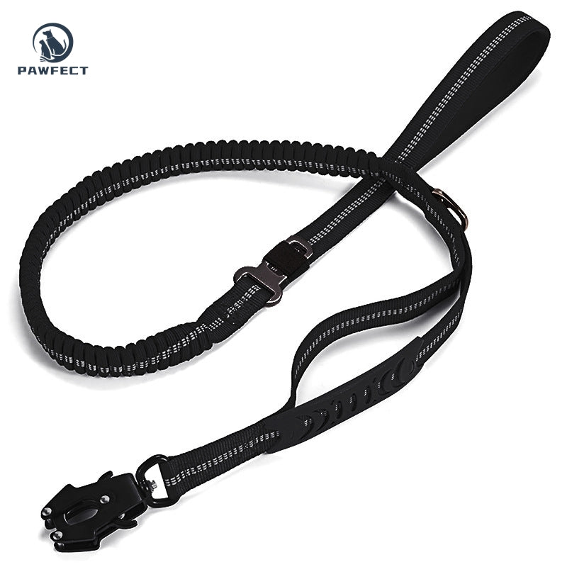 Reflective Pet Leash with Car Seatbelt Buckle & Frog Clip