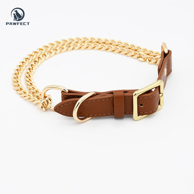 Golden Stainless Steel No-Pull Pet Collar & Leash Set