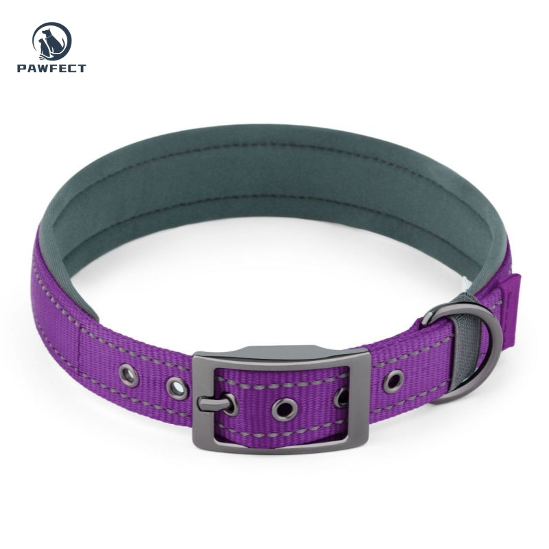 Comfort Neoprene Reflective Pet Collar