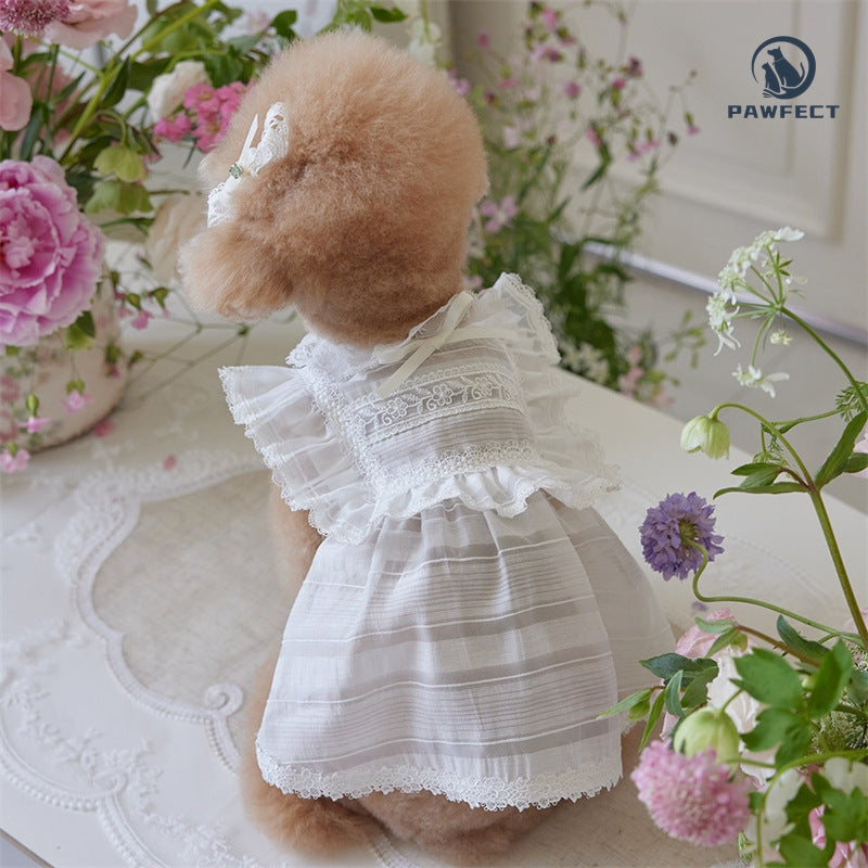 Lightweight Lace Dog Dress in Sweet Style