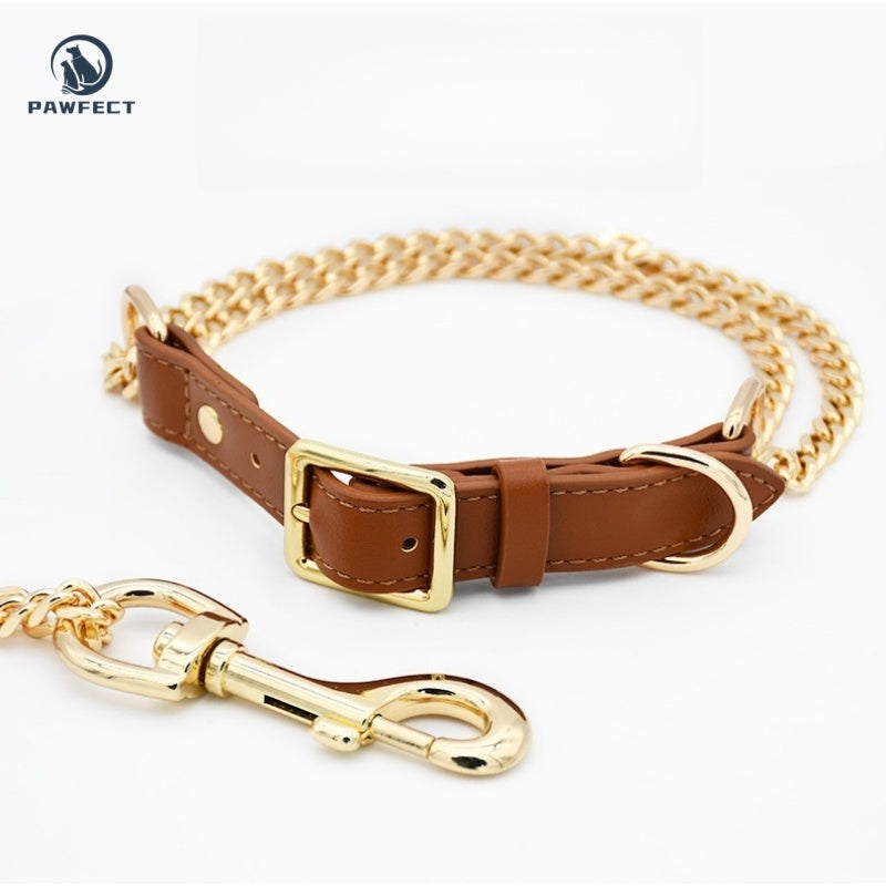Golden Stainless Steel No-Pull Pet Collar & Leash Set