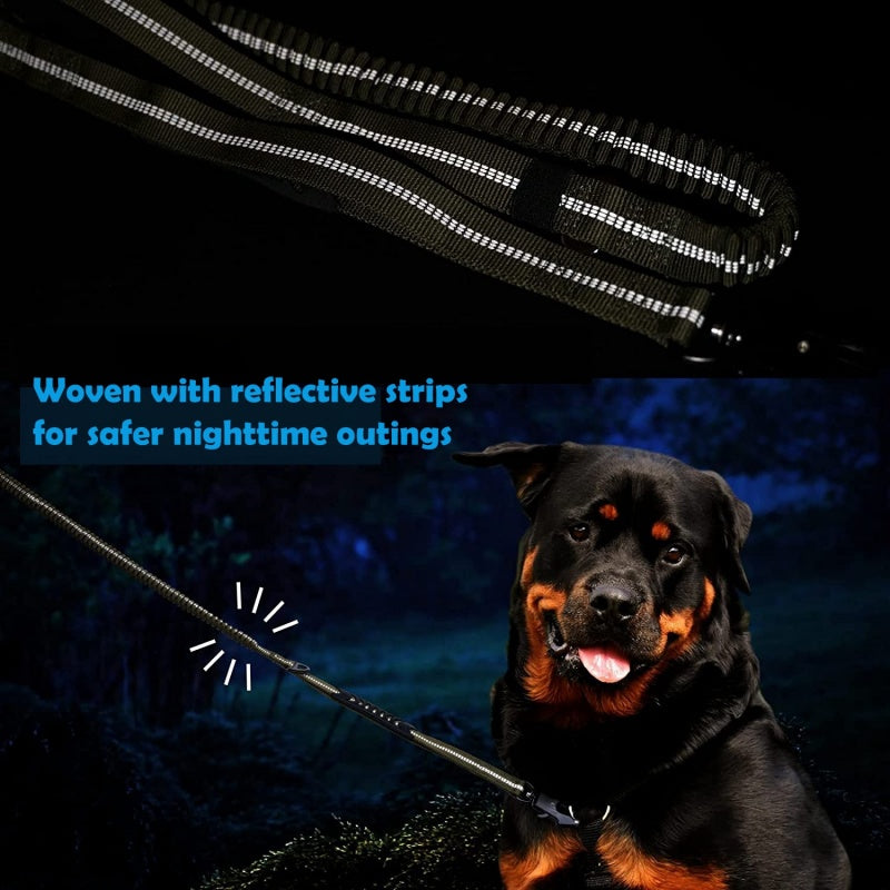 Reflective Pet Leash with Car Seatbelt Buckle & Frog Clip