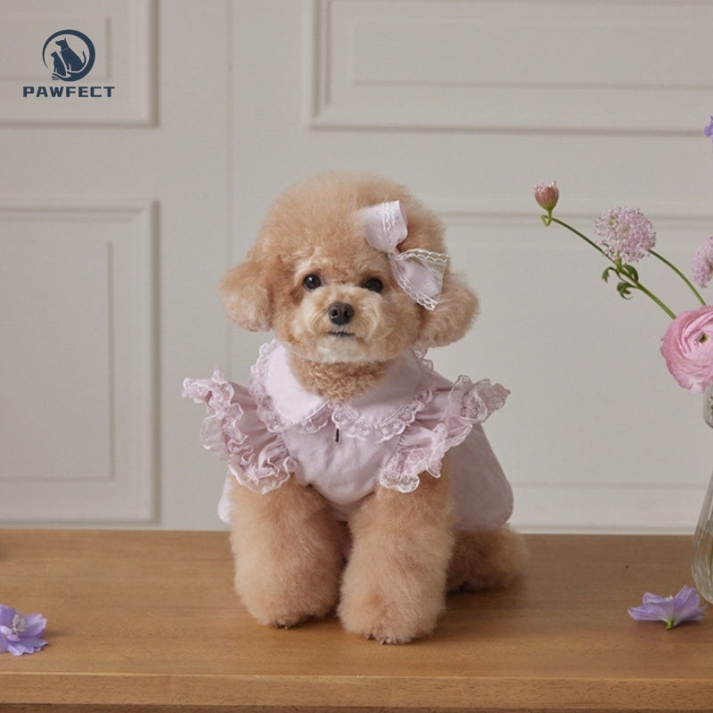 Lightweight Lace Flutter-Sleeve Dog Dress – Elegant Lady Style