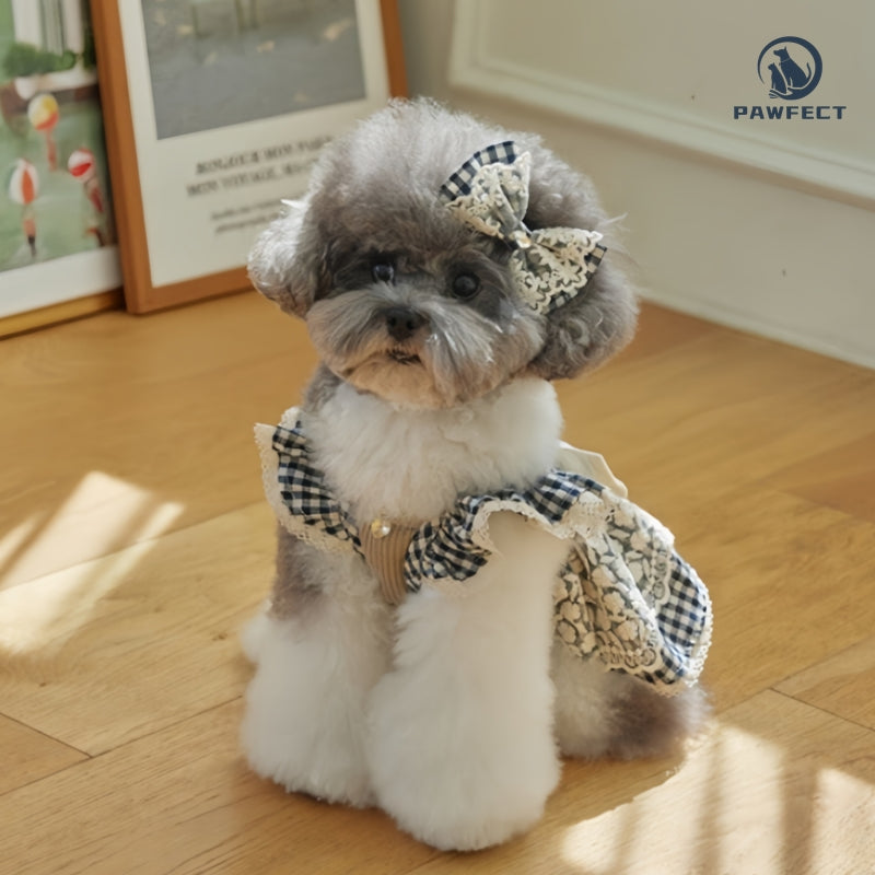 Lightweight Sweet Dog Dress with Bow and Lace Trim