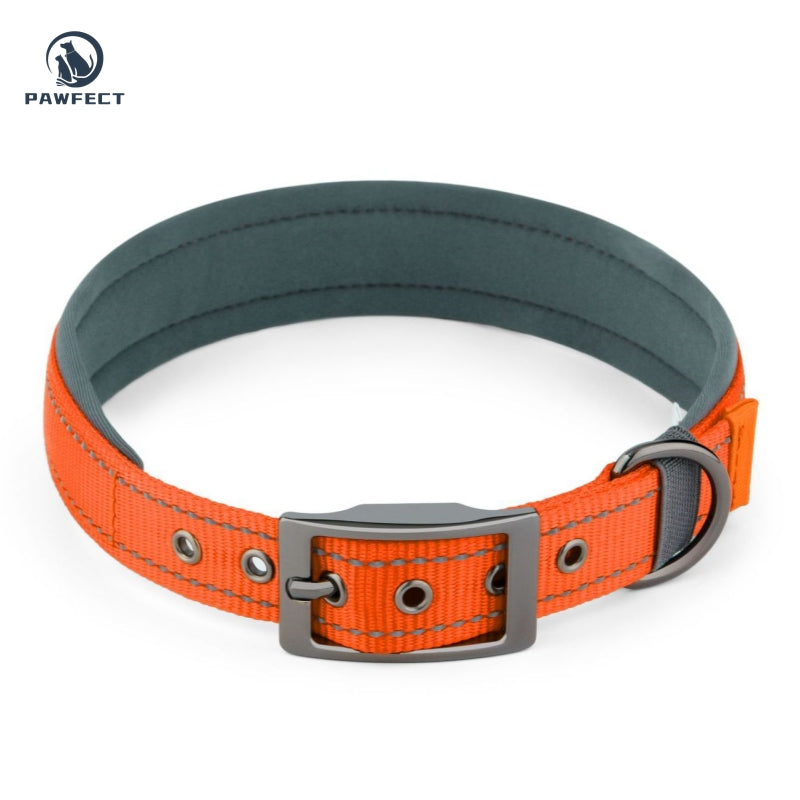 Comfort Neoprene Reflective Pet Collar