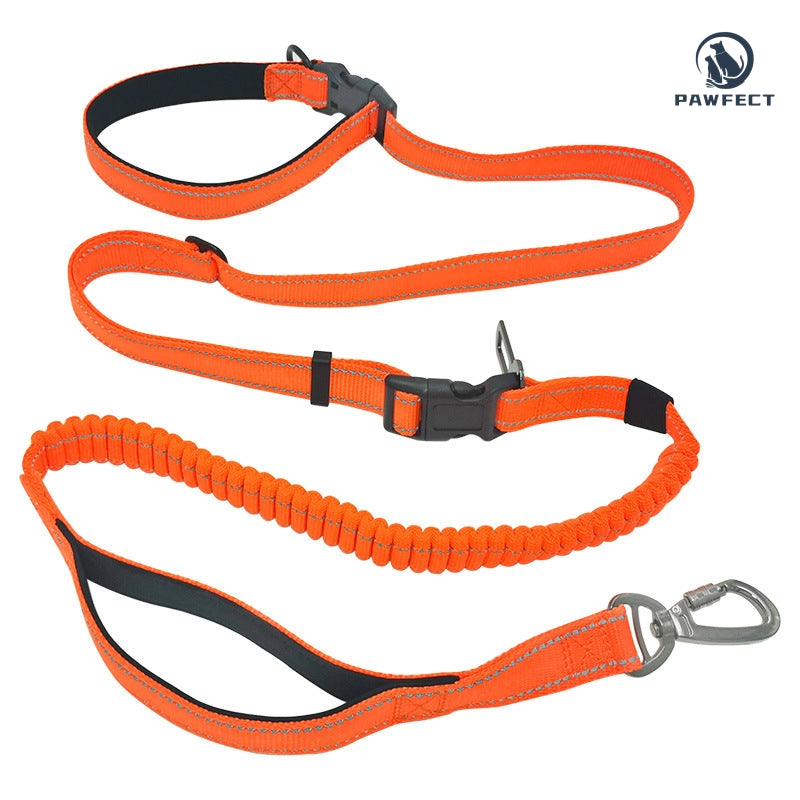6-in-1 Multi-Functional Dog Leash for Running & Car Safety