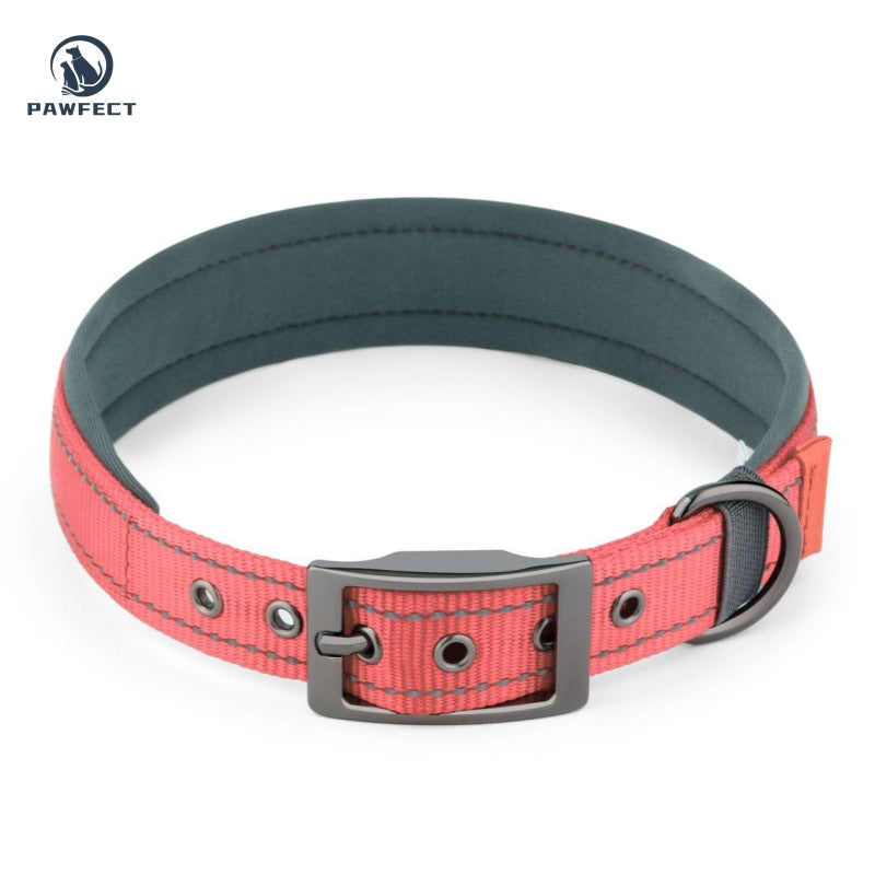 Comfort Neoprene Reflective Pet Collar