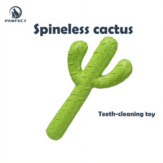 Realistic Cactus Dog Chew and Teeth Cleaning Toy