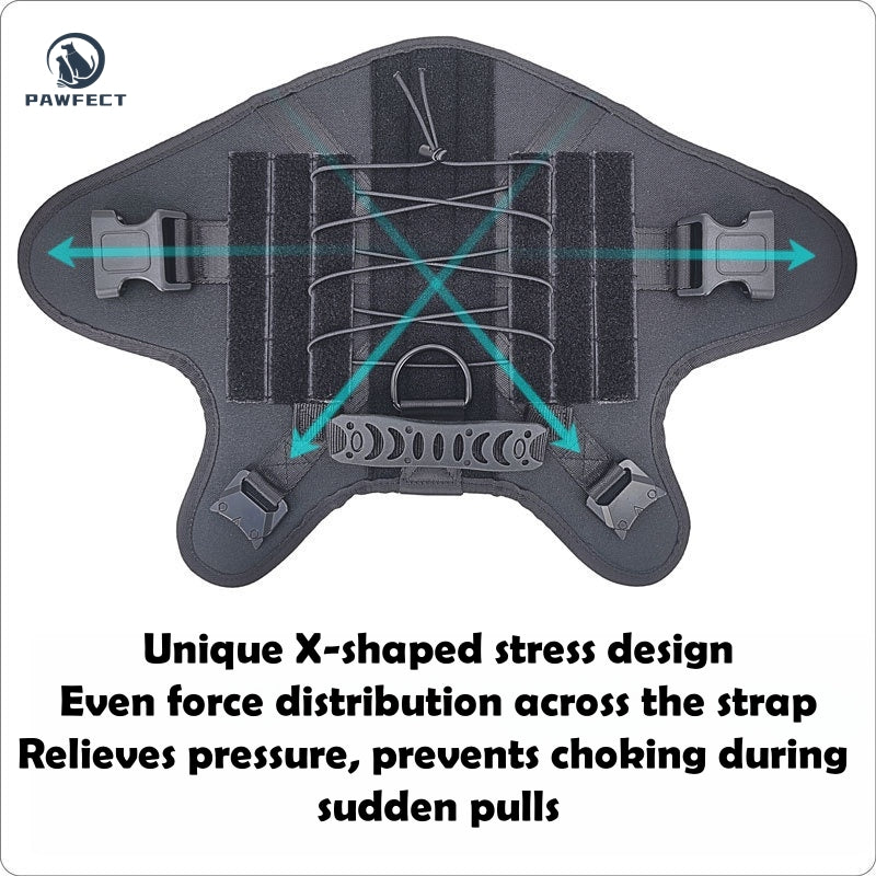 Durable Outdoor Training Harness for Dogs