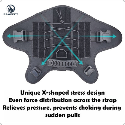 Durable Outdoor Training Harness for Dogs