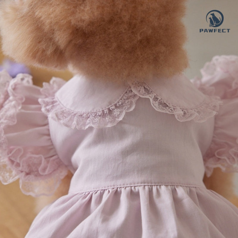 Lightweight Lace Flutter-Sleeve Dog Dress – Elegant Lady Style