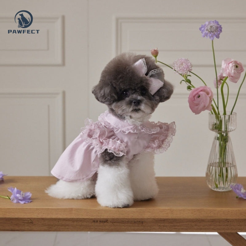 Lightweight Lace Flutter-Sleeve Dog Dress – Elegant Lady Style