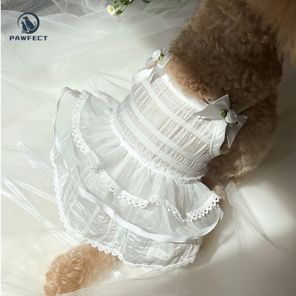 Lightweight Lace Dog Dress in Sweet Style