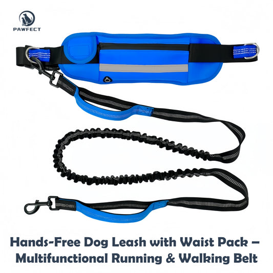 Hands-Free Dog Leash with Waist Pack – Multifunctional Running & Walking Belt