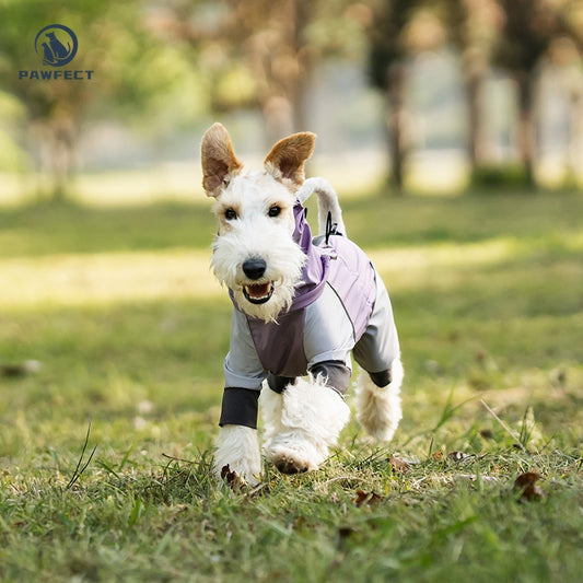 Waterproof Dog Raincoat with 4-Leg Coverage and Leash Hole