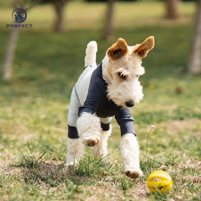 Cooling Quick-Dry UV-Protection Dog Jumpsuit – Breathable 4-Leg Design